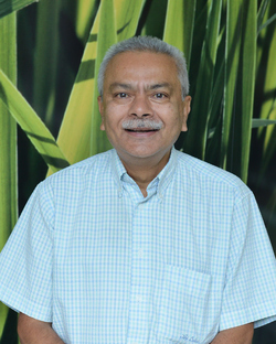 Doctor Team - Dr Pramod Giri